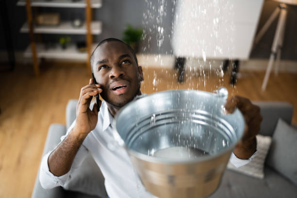 Best Mold removal after water damage  in Yulee, FL
