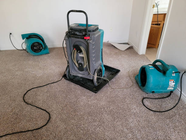 Best Sewage cleanup and water damage restoration  in Yulee, FL