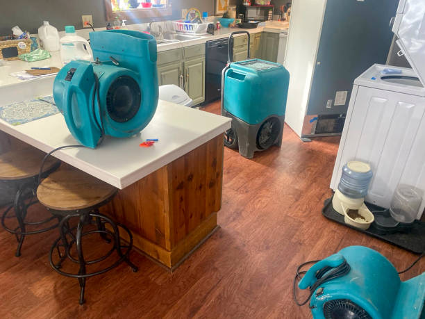 Best Water damage restoration mold remediation  in Yulee, FL