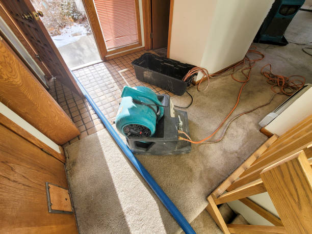 Best Fire Damage Restoration  in Yulee, FL