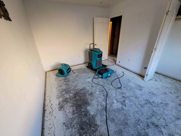 Best Emergency water extraction  in Yulee, FL