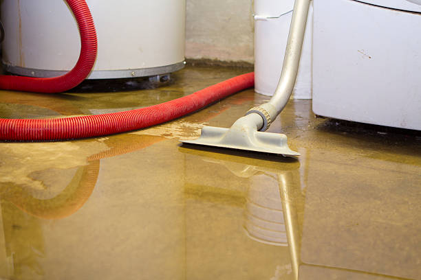  Yulee, FL Water damage restoration Pros