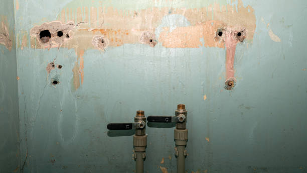 Best Water damage restoration near me  in Yulee, FL