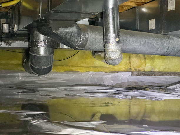 Best Ceiling water damage repair  in Yulee, FL