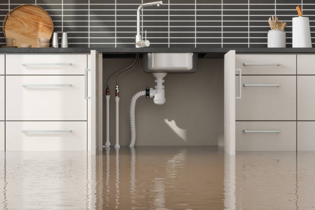 Trusted Yulee, FL Water damage restoration Experts