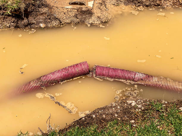 Best Emergency water damage restoration  in Yulee, FL